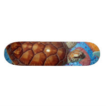 Tartaruga Skateboarding da tartaruga