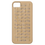 Teclado de Devnagari iPhone 5 Capa