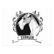 TERRIER (2) CARTOES POSTAIS