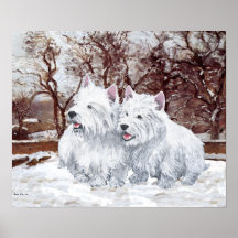 Terrier brancos de montanhas ocidentais na neve impressão