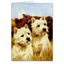 Terrier brancos de montanhas ocidentais - Wardle Cartão