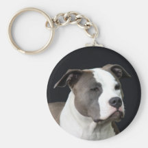 terrier de Staffordshire americano Chaveiros