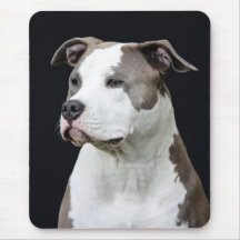 terrier de Staffordshire americano Mousepads
