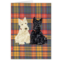 Terrier escoceses Wheaten e pretos Cartões