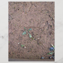 Textura à terra quebrada do campo panfletos personalizados