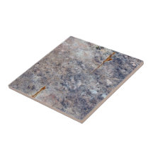 Textura sem emenda da rocha com líquenes azulejo de cerâmica 