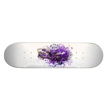 The_Hermit Skate