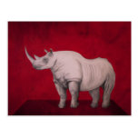 The White Rhino Tarjeta Postal