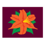 Tigerlily Cartão Postal