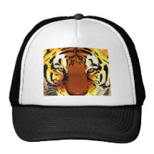 Tigre Bones