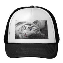 Tigre branco bonés