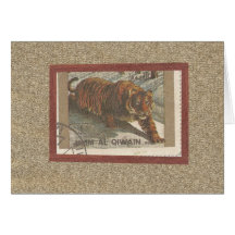 tigre de bengal cartões