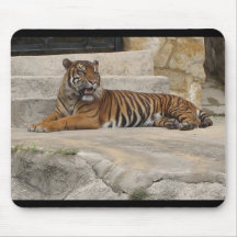 Tigre irritadiço mouse pad