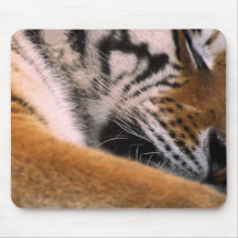 Tigre Mousepad do sono
