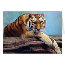 Tigre "que pensa de você " cartao