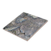 Tiro bonito da lava e das rochas azulejos de cerâmica 