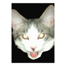 Tiro da cabeça do gato de Punkysthe Convites