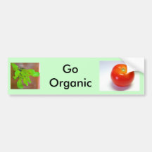 Tomate-LR orgânica cultivado em casa, ButterCrunch Adesivo