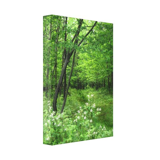 Trajeto da floresta impressão de canvas envolvidas