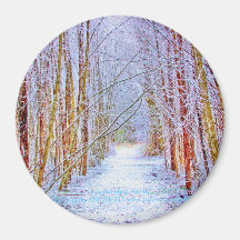 Trajeto e árvores no ímã da neve imã