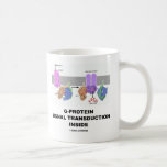 Transdução do sinal da G-Proteína para dentro Caneca