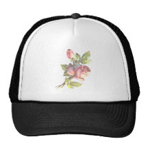 Transparência cor-de-rosa do Victorian Bonés