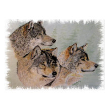 três lobos quadro cartoes de visitas