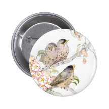 Três robins do bebê em uma árvore de cereja boton