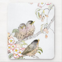 Três robins do bebê em uma árvore de cereja mousepads