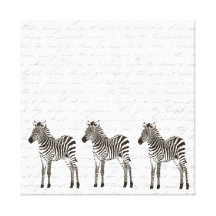 Três zebras impressão de canvas esticadas