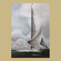 Trevo IV posters