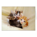 Trio do feliz aniversario do vovô dos gatinhos cartoes