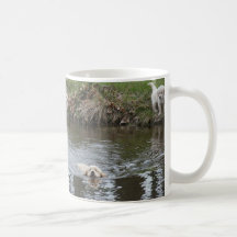 Trio do golden retriever da caneca dos filhotes de