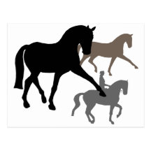 Trio dos cavalos do adestramento cartoes postais