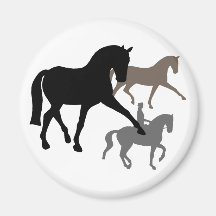 Trio dos cavalos do adestramento imãs