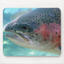 Truta de arco-íris mouse pad