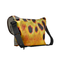 Truta de Brown FlySatch Bolsas Mensageiro