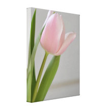 Tulipa cor-de-rosa elegante impressão de canvas esticada