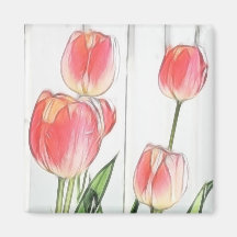 Tulipas do primavera