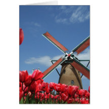 tulipas vermelhas cartão