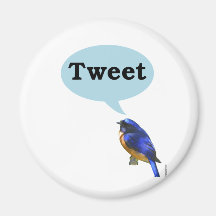Tweet do pássaro ima
