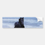 Um cavalo selvagem e livre adesivos