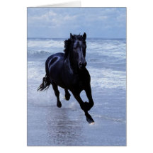 Um cavalo selvagem e livre cartão