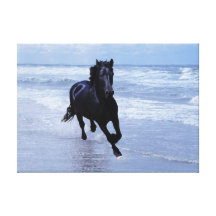 Um cavalo selvagem e livre impressão em canvas