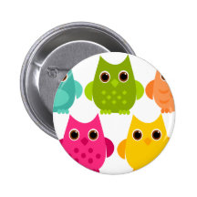 Um grupo brilhante das corujas pins