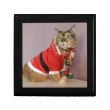Um outro gato do papai noel do Natal Porta Treco