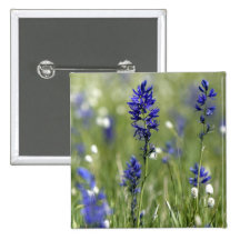 Um prado da montanha de incluir dos wildflowers botons