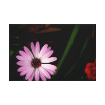 Única flor da lavanda em canvas impressão em canvas