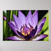 Uns outros posters reais da flor