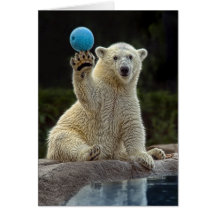Urso Cub polar com bola Cartoes